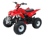 ATA-125A TaoTao Kids 125cc Sport ATV