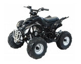 ATA-125A TaoTao Kids 125cc Sport ATV